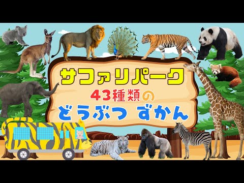 【サファリパーク】43種類の動物をサファリバスに乗って見てみよう♪動物図鑑/子供が喜ぶ・笑う知育アニメ/子供向け