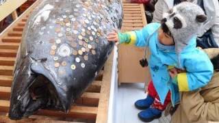 招福マグロにさい銭ペタペタ　西宮神社の「十日えびす」