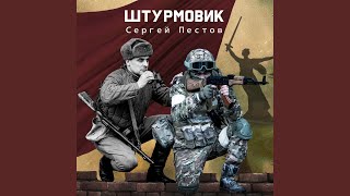 Штурмовик