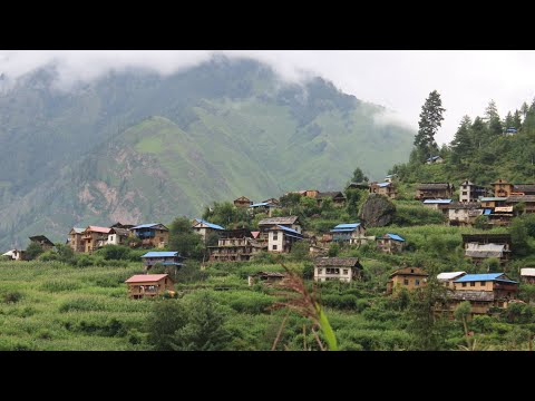 Winter Life In Nepali Village During Heavy Snow ||Hard Working Life In The Himalayan Village Nepal🇳🇵