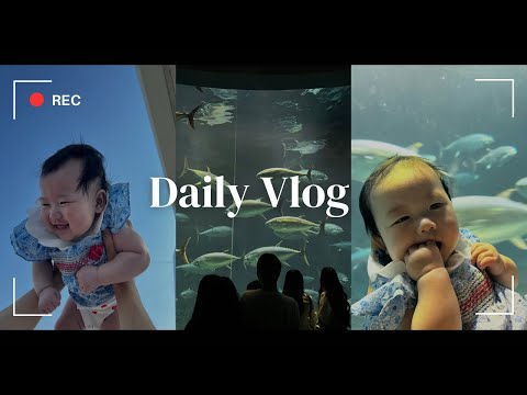 【生後4ヶ月】初めての水族館に行った赤ちゃんの1日