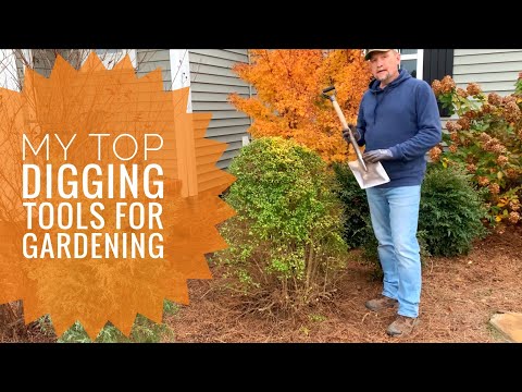 My top digging tools for gardening