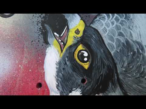 'Peregrine Eyes' skate deck Uni Posca painting