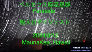 2024/08/12 ペルセウス座流星群(Perseids) 極大日ダイジェスト over Mauna Kea, Hawaii