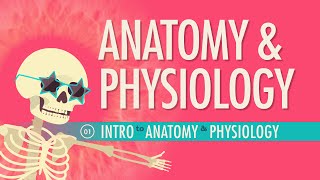 Introduction to Anatomy & Physiology: Crash Course Anatomy & Physiology #1