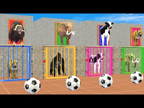 Don't Choose the Wrong Door 🚪 with Ball Elephant, Cow, Lion, Gorilla, Cat Wild Animals Cage Game