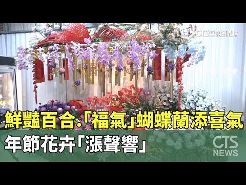 鮮豔百合.「福氣」蝴蝶蘭添喜氣　年節花卉「漲聲響」｜華視新聞 20250115 @CtsTw