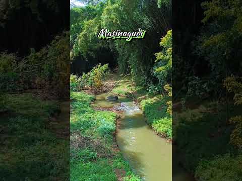 Masinagudi📍Ooty #masinagudi #ooty #monsoon #nature #explore #explorepage #tamilnadutourism #travel