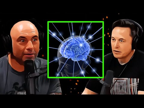 Joe Rogan Moments That Will Make You Question Everything