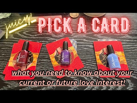 What you need to know about your current or future love interest 🤔 PICK A CARD tarot