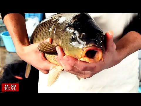 Japanese cuisine with great carp dishes