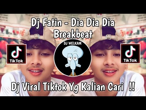 DJ DIA DIA DIA - FATIN BREAKBEAT || DJ VIRAL TIK TOK 2024 TERBARU YANG KALIAN CARI !!