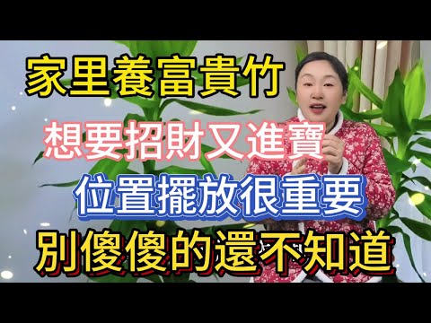 必知！家養富貴竹的位置密碼！正確放置招財進寶！財源滾滾來！若錯誤擺放如堵財路！後果很嚴重！一定要了解！以免吃大虧！富贵竹放哪里最旺财！#風水 #佛教 #運勢 #2024