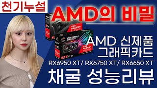 [채굴뉴스] AMD 신제품 그래픽 카드 채굴 성능 리뷰!!! / 채굴기 / 채굴장 / 코인 / 알바생 / 이더리움 / 비트코인 / NVIDIA / 재테크 / 부업 / 돈버는법