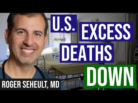 US Excess Mortality Down