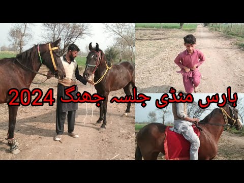 Dera Ghazi Khan aspa mela 25.2.2024 dg Khan horse Mandi festival 2024