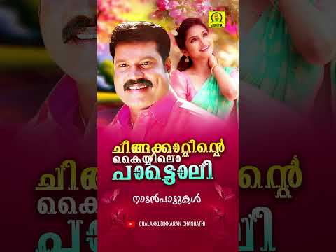 ചിങ്ങക്കാറ്റിന്റെ കയ്യിലൊ പാട്ടൊലി | #kalabhavanmanisongs #malayalamfolksongs #onamsongsmalayalam