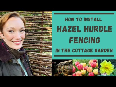 How to install a HAZEL HURDLE FENCE in the COTTAGE GARDEN or ALLOTMENT l Planting Star Jasmine