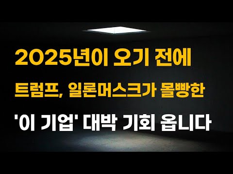 [주식] 2025년이 오기 전에 트럼프, 일론 머스크가 몰빵한 '이 기업' 대박 기회 옵니다.[증시전망, 12월주식전망, 2025년주식전망, 대폭락, AI 대장주]