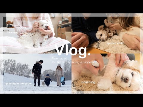 【Vlog】ミックス犬チワプーと家族で過ごす休日｜雪遊び❄｜ごはんとおやつ🍩｜ペットがいる暮らし🐶【夫婦+1歳児+ワンコ】