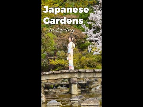 Beautiful Japanese Gardens in Spring #sakura