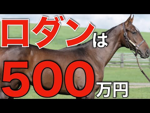 ディープ後継オーギュストロダンは約500万円！世界のクールモアが種付け料を発表。