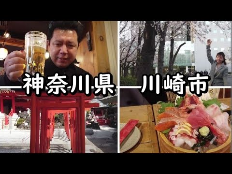 【関東神奈川県川崎市】おっさんひとり旅。刺身と酒をたしなみつつ、美女と桜のコラボ、動物園で撮影しまくりな旅