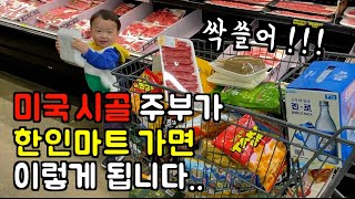 한인마트 없는 미국 시골 주부가 4시간거리 한인마트 가면... 🔥 다 쓸어담아!!! 시카고 한인마트 장보기 l 미국 일상 l 미국 브이로그