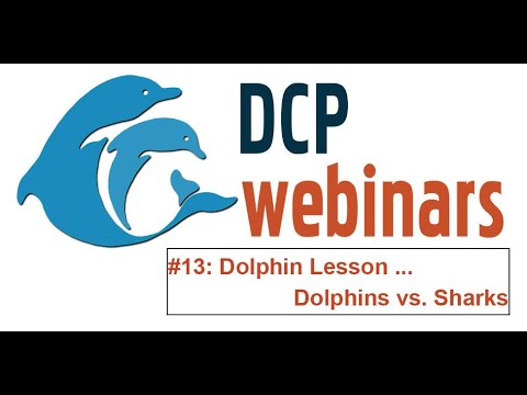 DCP Dolphin Lesson: Sharks vs. Dolphins