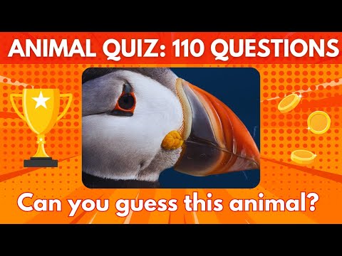 🧠❓Guess the animals based on their body parts quiz | Animal quiz | Fun quiz | English Quiz