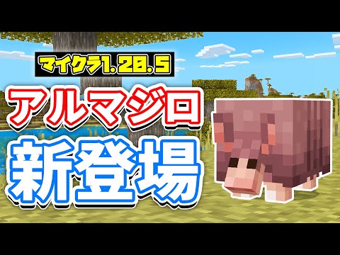 【マイクラ1.20.5】アルマジロ(Armadillo)が新登場！オオカミの鎧＆ウロコなど追加！使い方・レシピ・仕様を詳しく解説！【マインクラフト】SNAPSHOT 23W51A