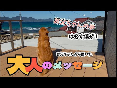 都会で暮らす息子から『島の夢』を引き継ぐ優しいメッセージ…