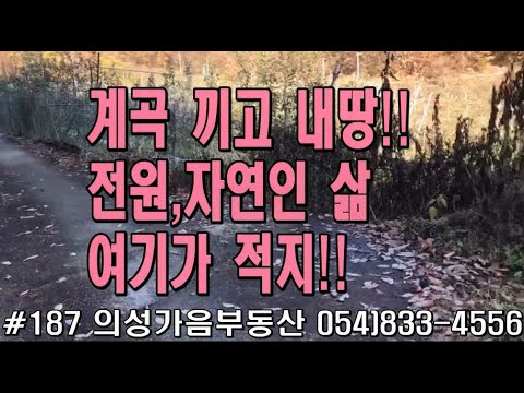 #187 의성가음부동산 골짜기안 계곡물철철 전망좋은 유실수밭 농막포함 1879평 1.1억 (당5.8만원) 개울옆 전기인입 건축가능 계획관리지역 귀농적합 #의성땅#의성토지#주말농장