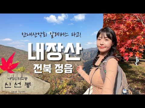 숨니vlog. 내장산에서 열린 가을 파티🍁 등산 | 브이로그 | 혼산 | 등린이 | 안내산악회 | 알레버스 | 등산추천 | 단풍놀이 | 여행 | 하이킹 | 트레킹 | hiking