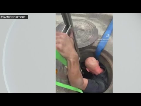 Miami firefighter saves ducklings from drain