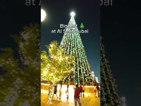 Al Seef Dubai l Biggest 🎄 in Dubai l