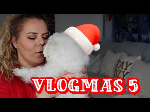 Vlogmas 5..Povestim, plimbare in centru, Andrei are probleme la școală 😐