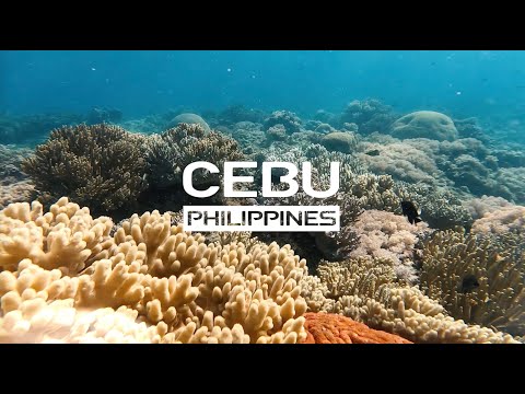 The sea of Cebu is calling｜STARLUX Airlines