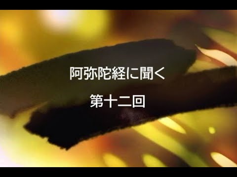 【聞いてらっしゃい】阿弥陀経に聞く　第十二回