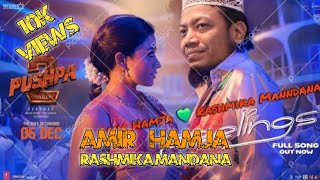 Amir Hamja Rasmika Mandana Viral Video Published