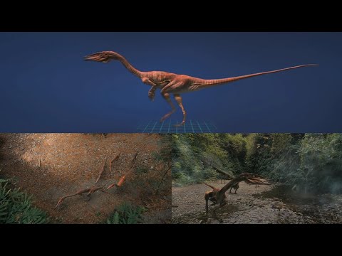 Dinosaurs Alive [2007] - Coelophysis Screen Time