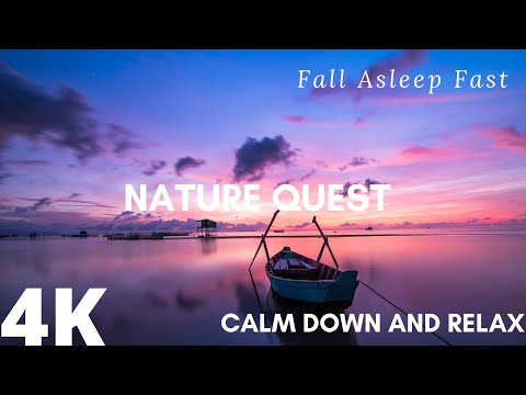 🔴 Calm Down And Relax Fall Asleep Fast (Nature Quest)