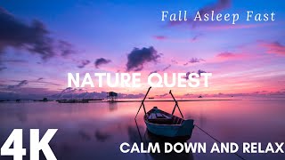 🔴 Calm Down And Relax Fall Asleep Fast (Nature Quest)