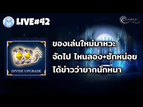 มาลองซัด Divine กัน มันจะ+ยากเย็นขนาดนั้นเลยยยยย? l Cabal Infinite Combo Live42