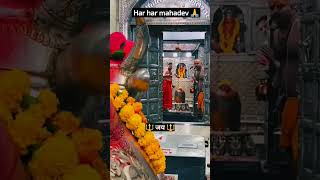 mahakaleshwar bhasm aarti ||#mahakal #ram #ujjain #bhasmarti #youtubeshorts