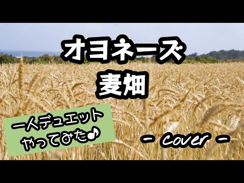 麦畑／オヨネーズ  歌ってみた。