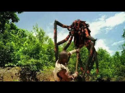 Clash Of Empires (2012) Woolly Rhinoceros And Giant Spider Attack