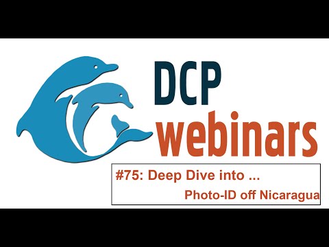 DCP Deep Dive: Photo-identification of dolphins, what can it tell us?