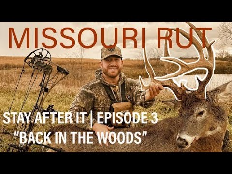 Stay After It - episode 3 (Back In The Woods)