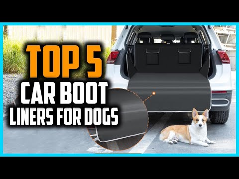 ✅Top 5 Best Car Boot Liners for Dogs in 2025